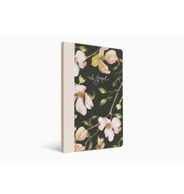 Erika Allen ESV Prayer Journal: 30 Days on the Gospel