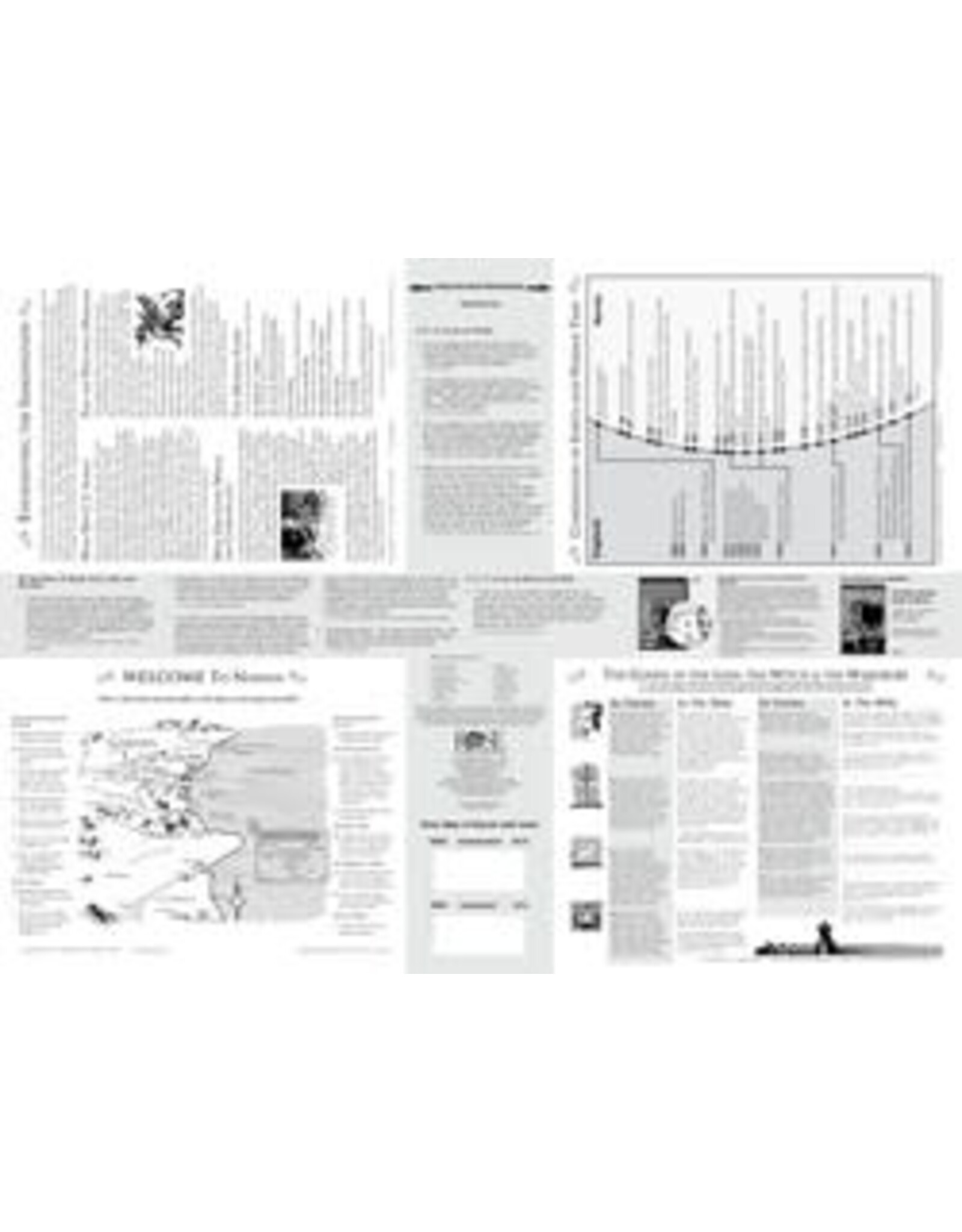Rose Publishing Map of Narnia Wall Chart