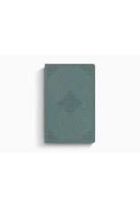 ESV Holy Bible Value Thinline- Paris Sky, Fleur-de-lis