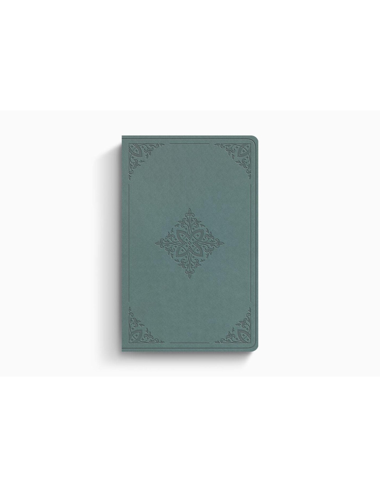 ESV Value Thinline Bible - Paris Sky, Fleur-de-lis