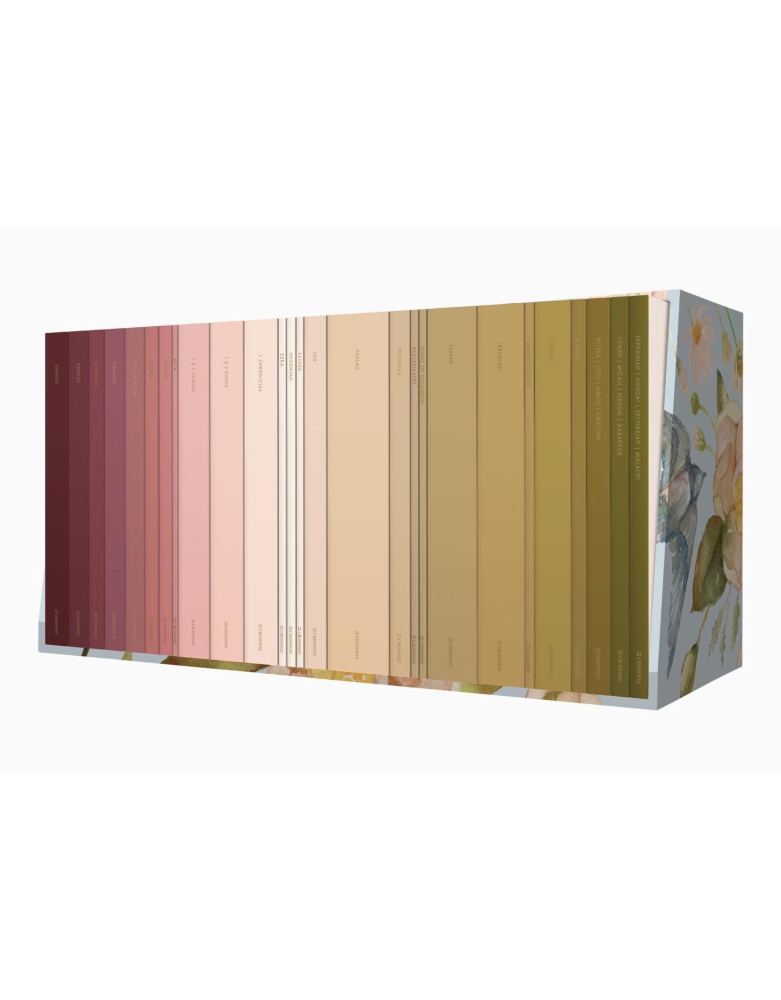 Ruth Chou Simons Ruth Chou Simons Old Testament Scripture Journals