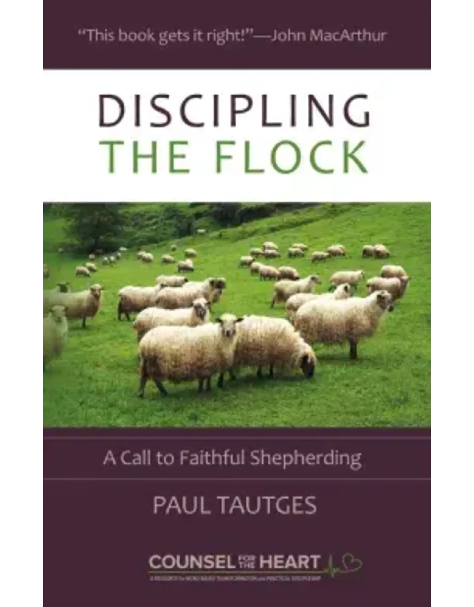Paul Tautges Discipling the Flock