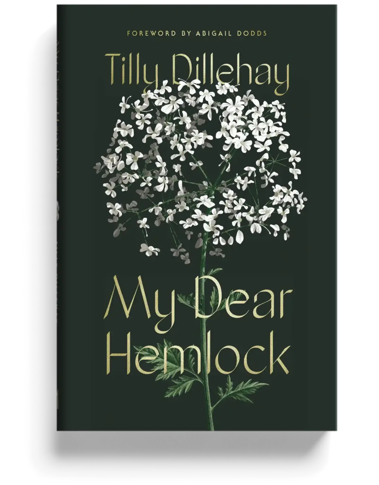 Tilly Dillenhay My Dear Hemlock