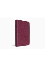 ESV Large Print Value Thinline Bible Raspberry