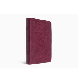 ESV Large Print Value Thinline Bible Raspberry