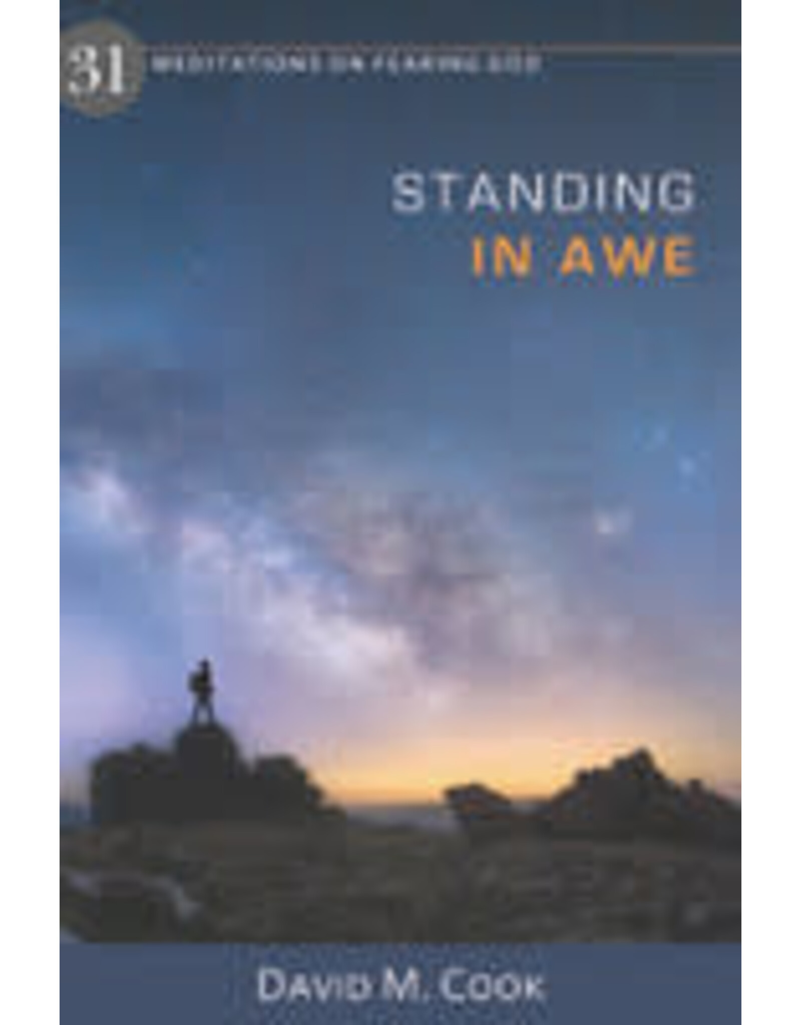 David M Cook Standing in Awe - Meditations on Fearing God