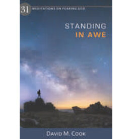 David M Cook Standing in Awe - Meditations on Fearing God
