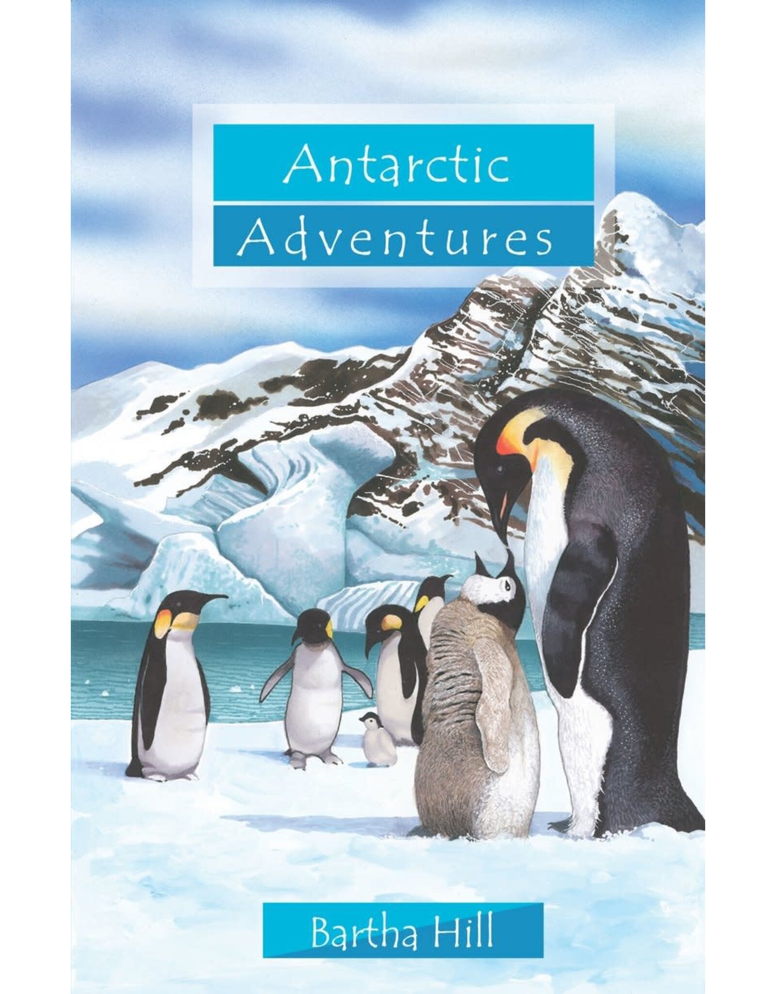 Bartha Hill Antarctic Adventures