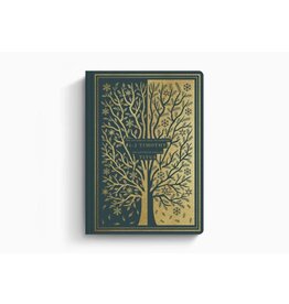 ESV Illuminated Scripture Journal 1-2 Timothy, Titus