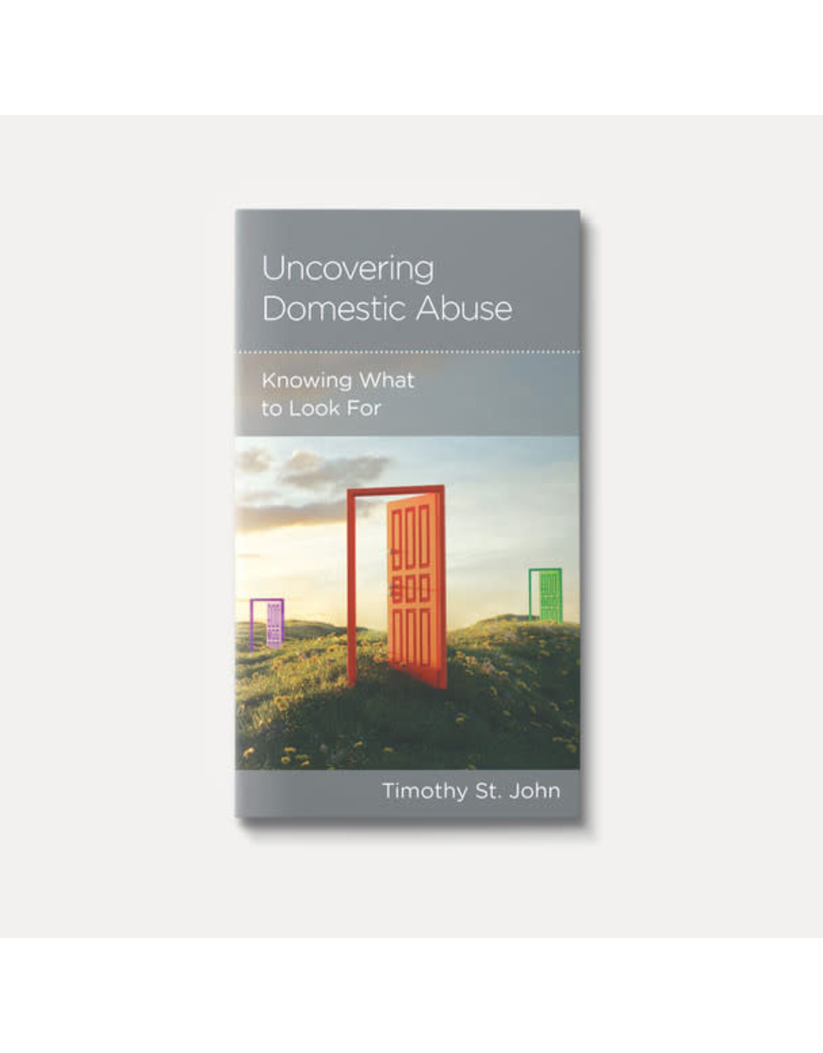 Timothy St. John Uncovering Domestic Abuse: Knowing What to Look For