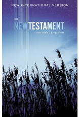 NIV Outreach New Testament - Large Print