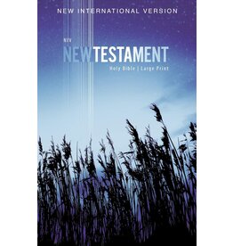 NIV Outreach New Testament - Large Print