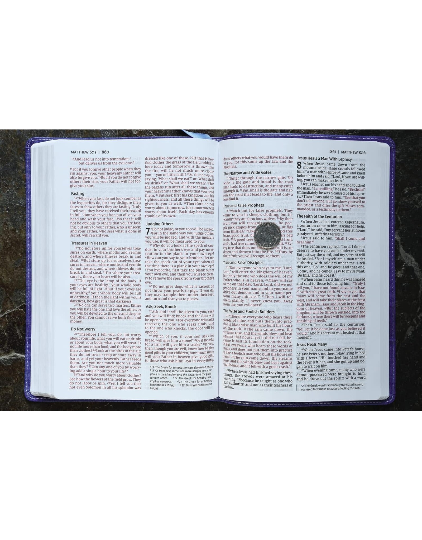 NIV Bible for Kids, Large Print Blue