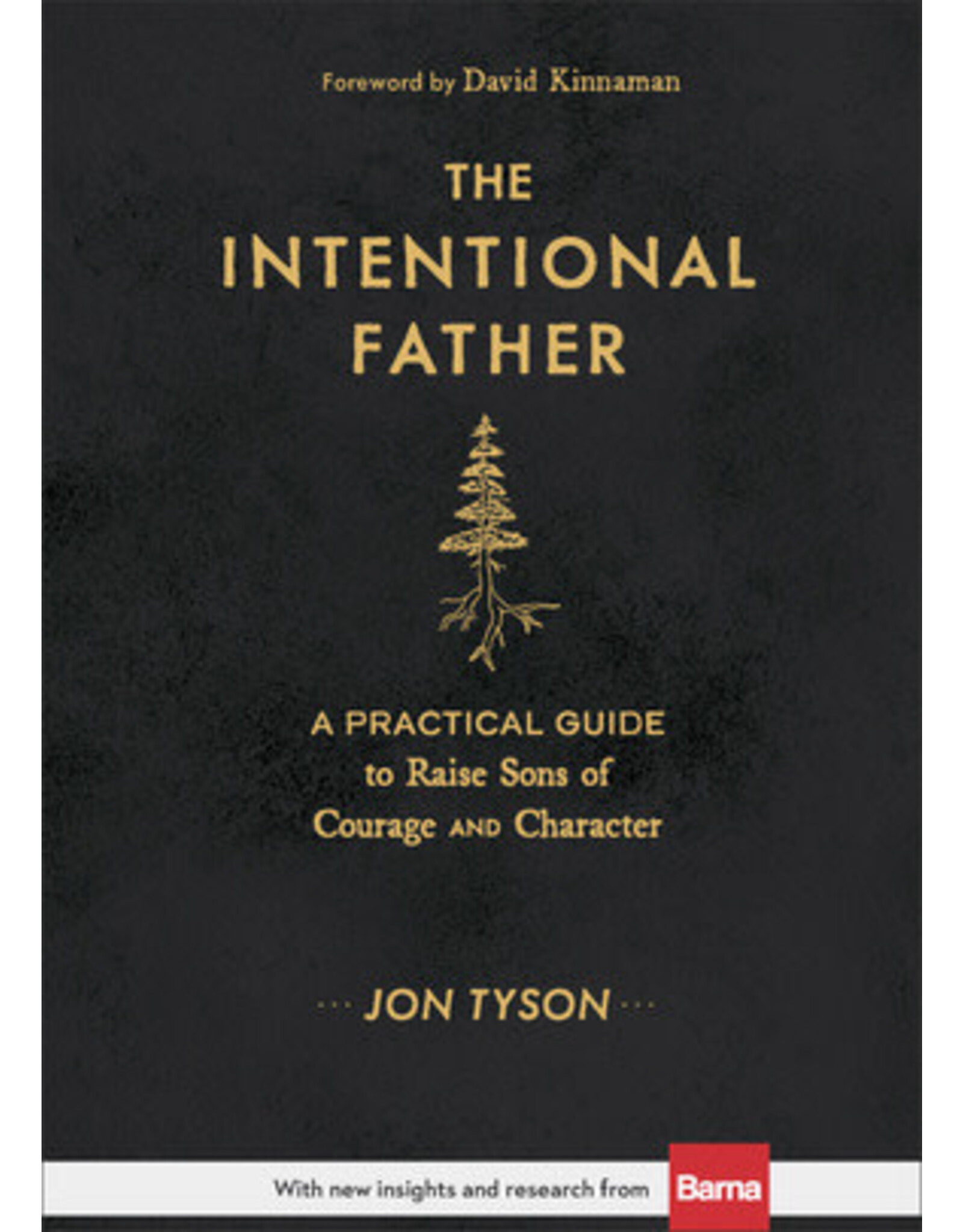 Jon Tyson The Intentional Father