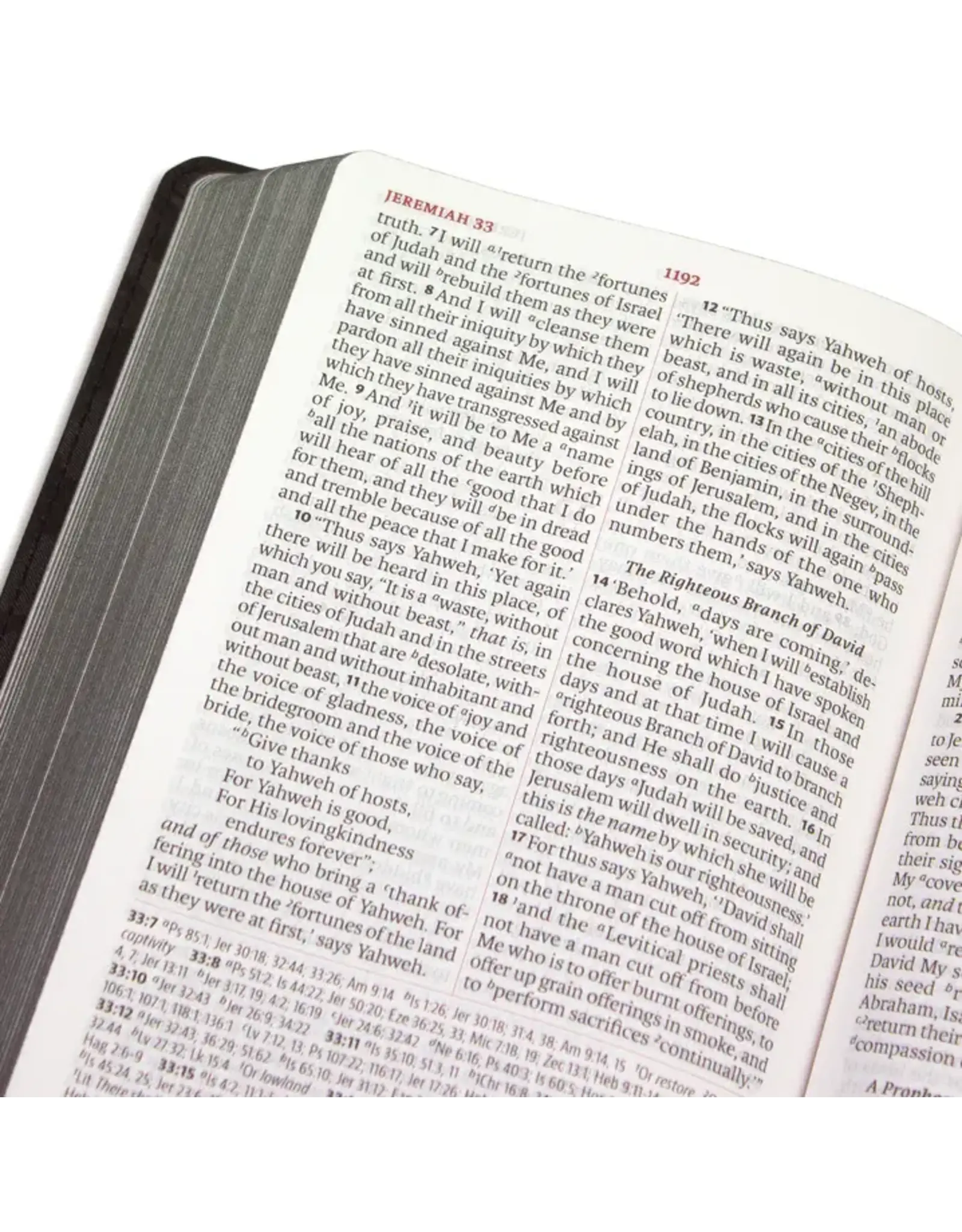LSB Portable Paragraph Reference Bible - Blue Faux