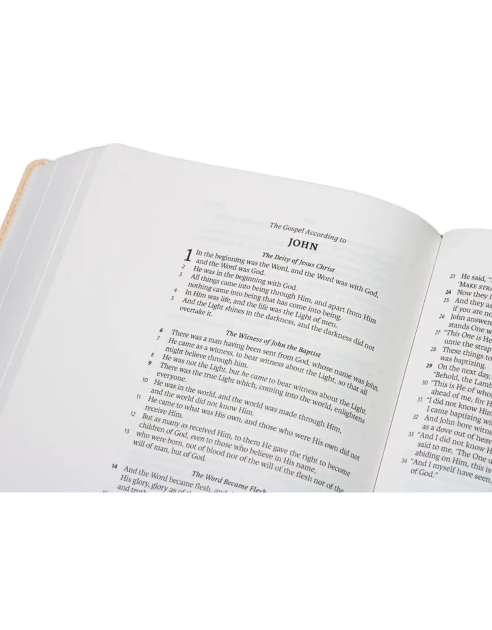 LSB Journaling Bible - Garden of Grace