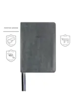 LSB Portable Paragraph Reference Bible - Pewter Faux Sword