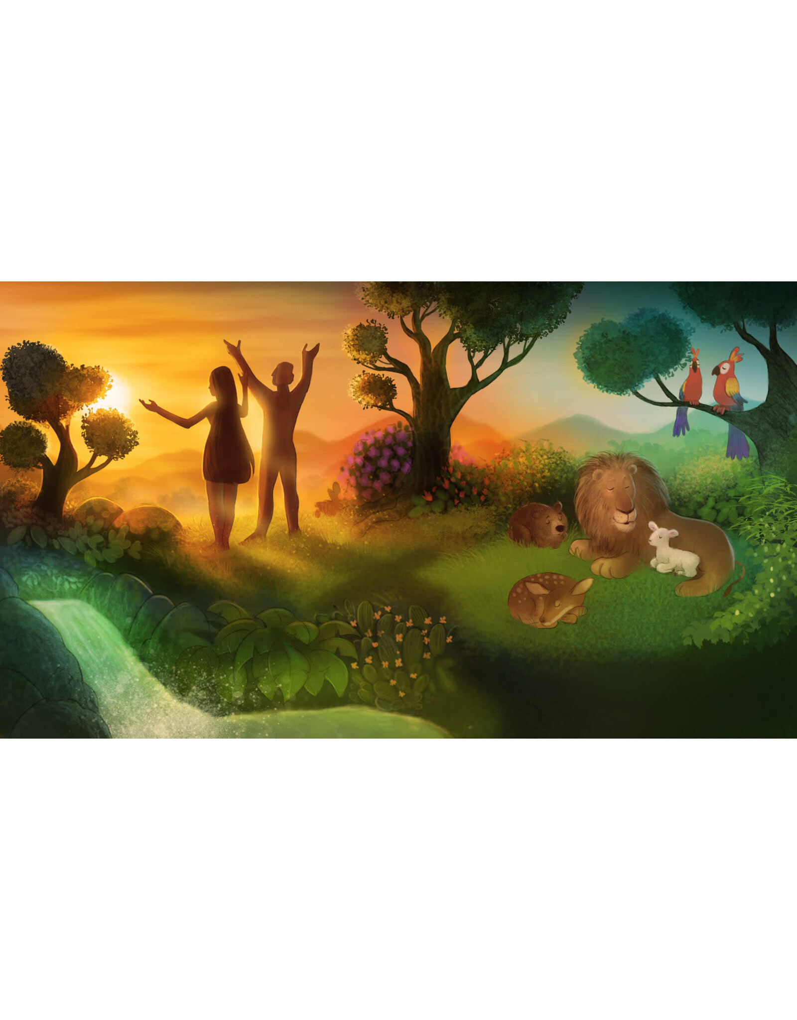 Tyler Van Halteren The Kingdom of God Bible Storybook, Box Set