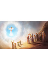Tyler Van Halteren The Kingdom of God Bible Storybook, Box Set