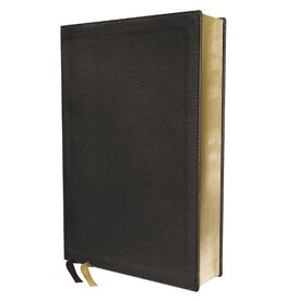 NASB 1995  Personal Size Bible,  Large Print, Genuine Leather, Black