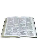 Holman Santa Biblia- PINK Holman Santa Biblia- PINK