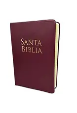 Holman Santa Biblia - BURGANDY