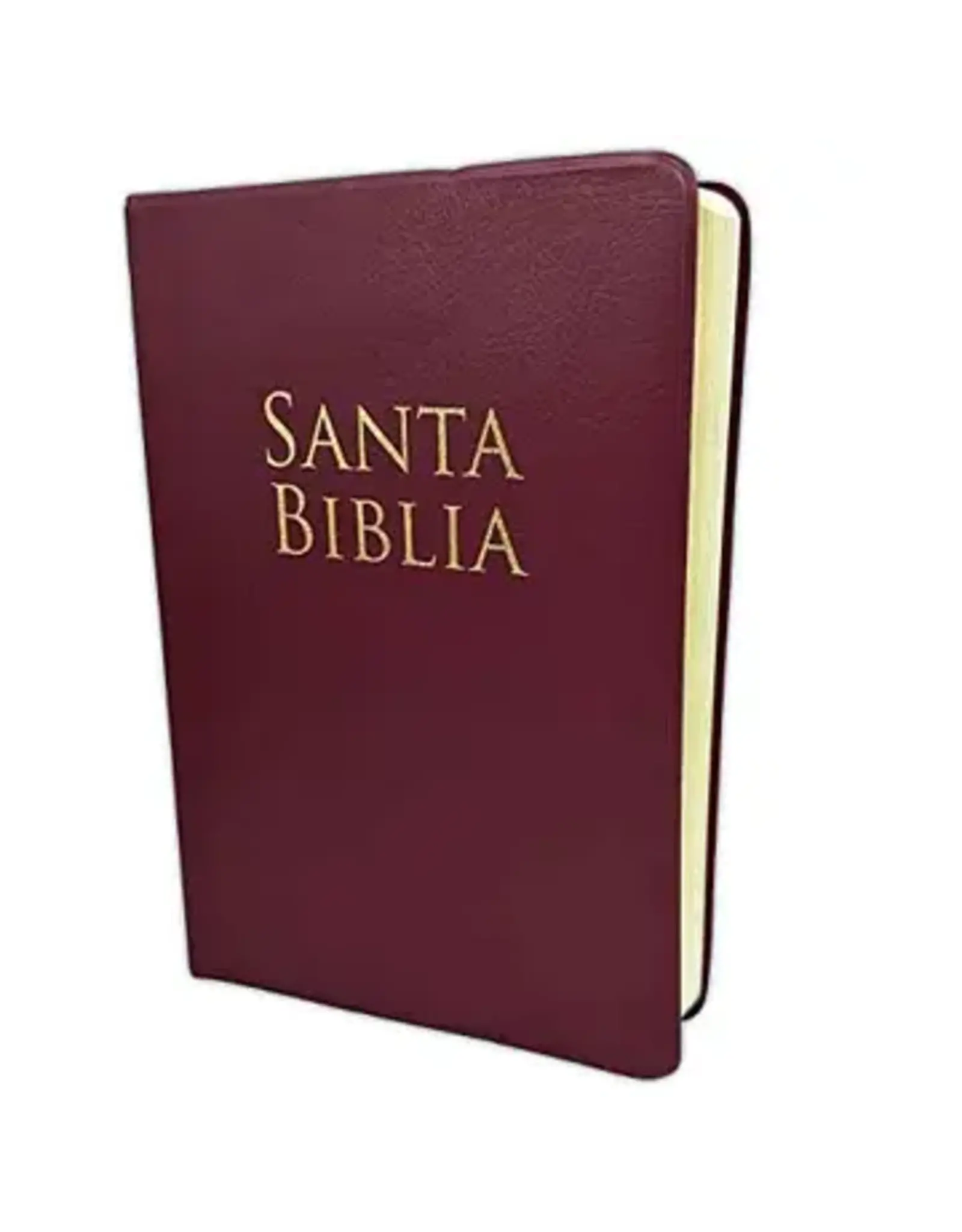 Holman Santa Biblia - BURGANDY