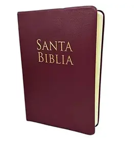 Holman Santa Biblia - BURGANDY