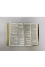 Holman Santa Biblia - BURGANDY