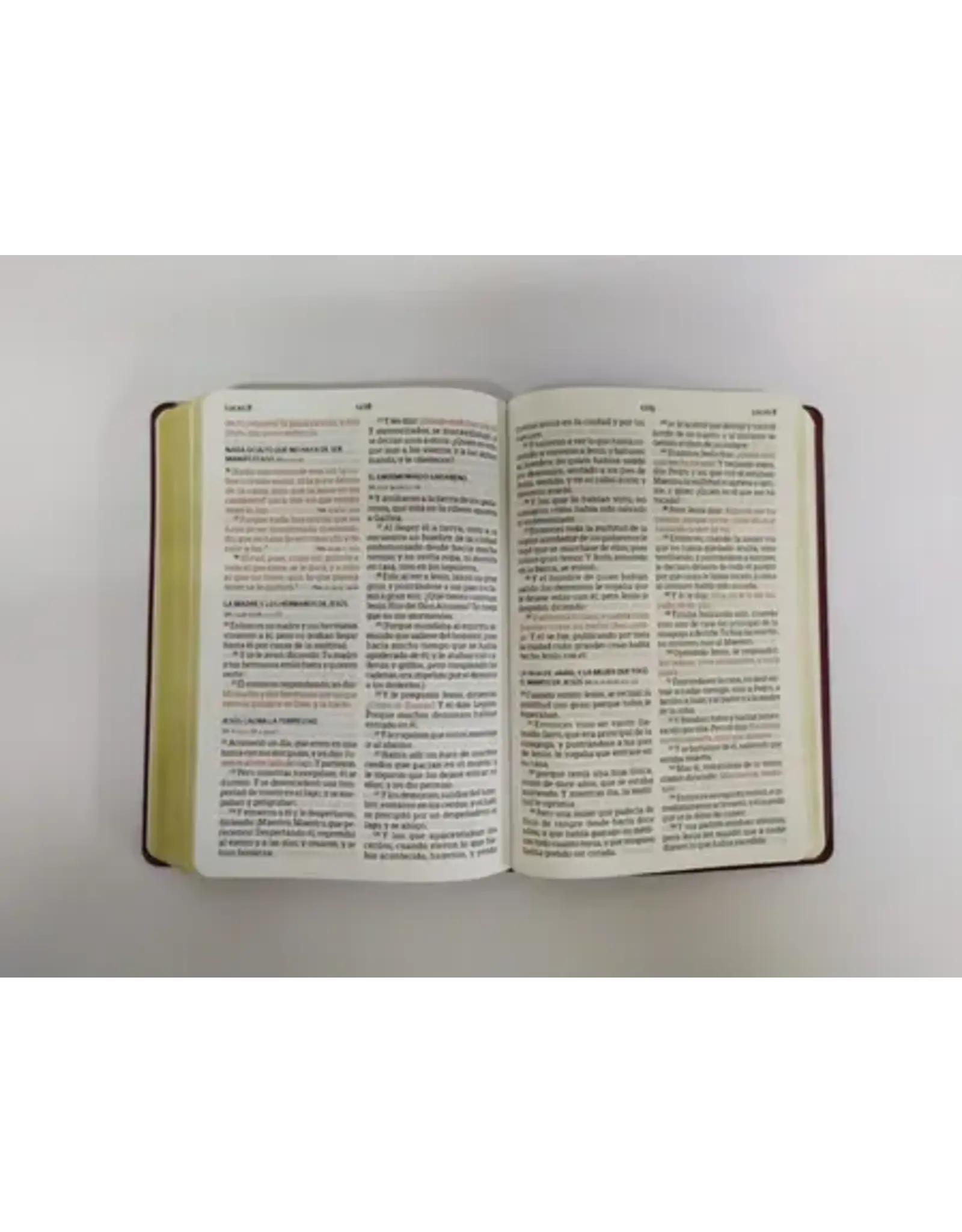 Holman Santa Biblia - BURGANDY