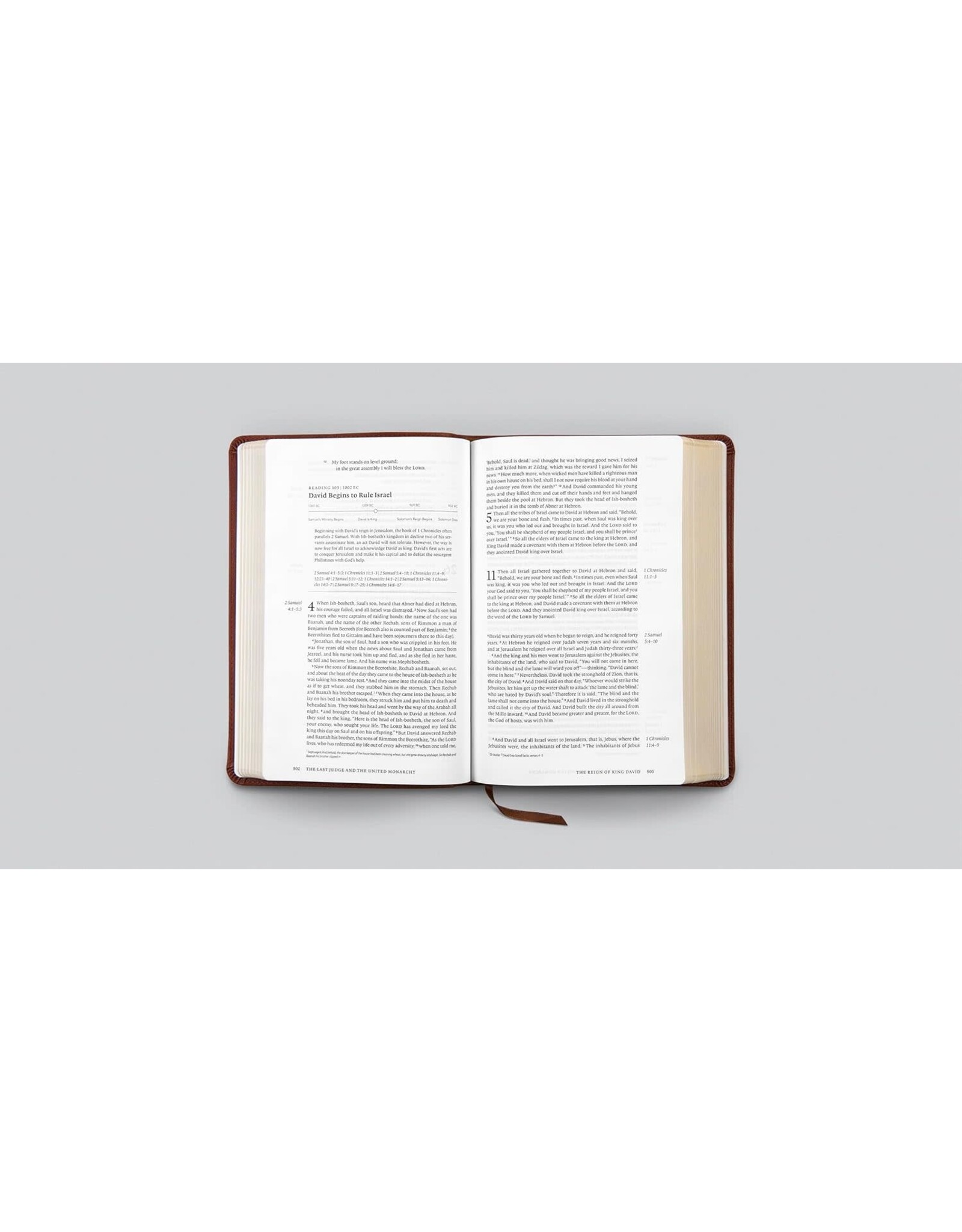 ESV Chronological Bible - TT Brown