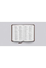 Crossway ESV Compact Bible, Trutone Brown