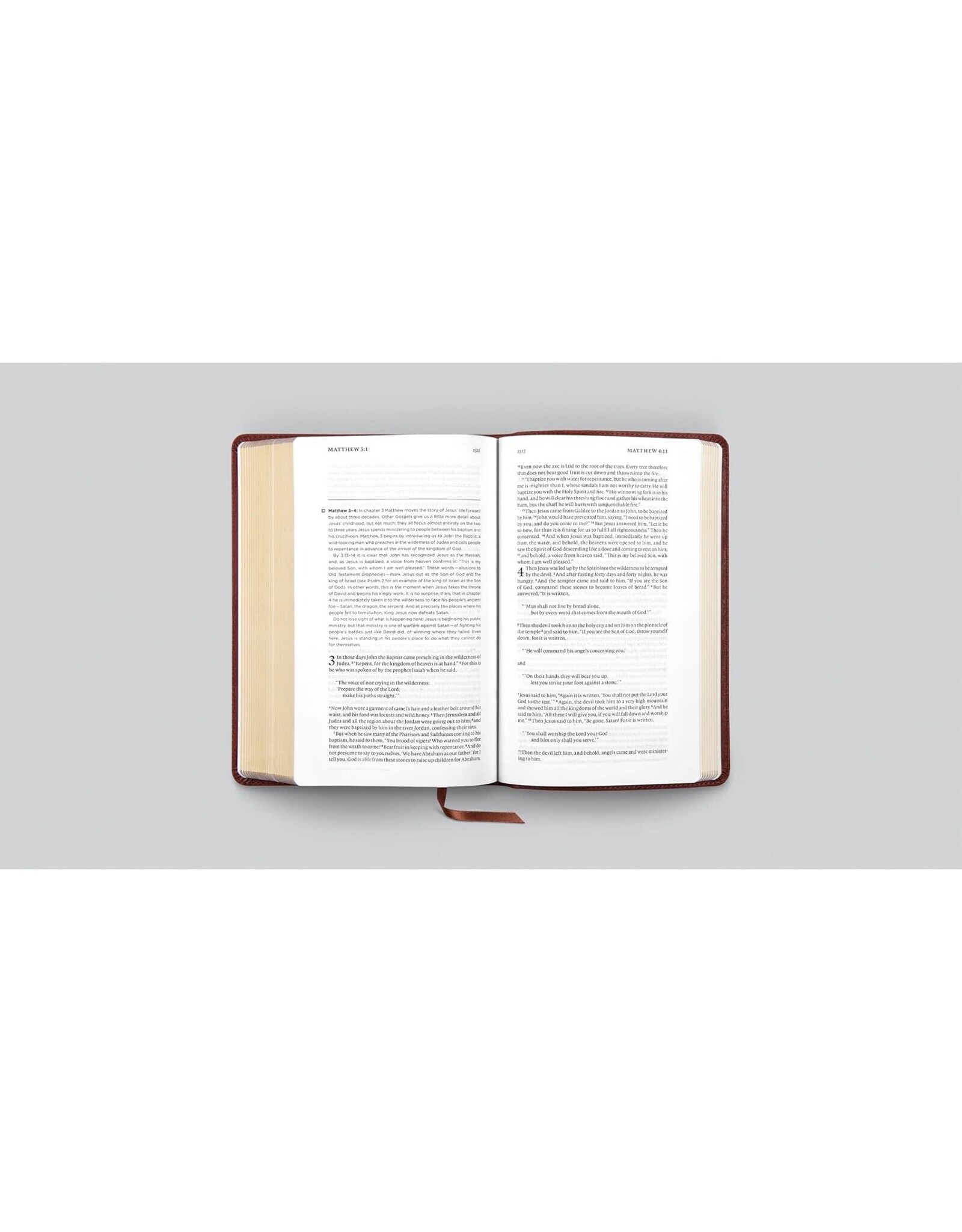 ESV Daily Reading Bible TT Brown