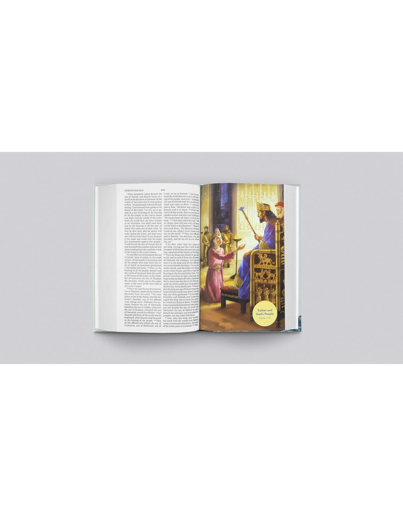 ESV Holy Bible for Kids, Large Print, Hardcover