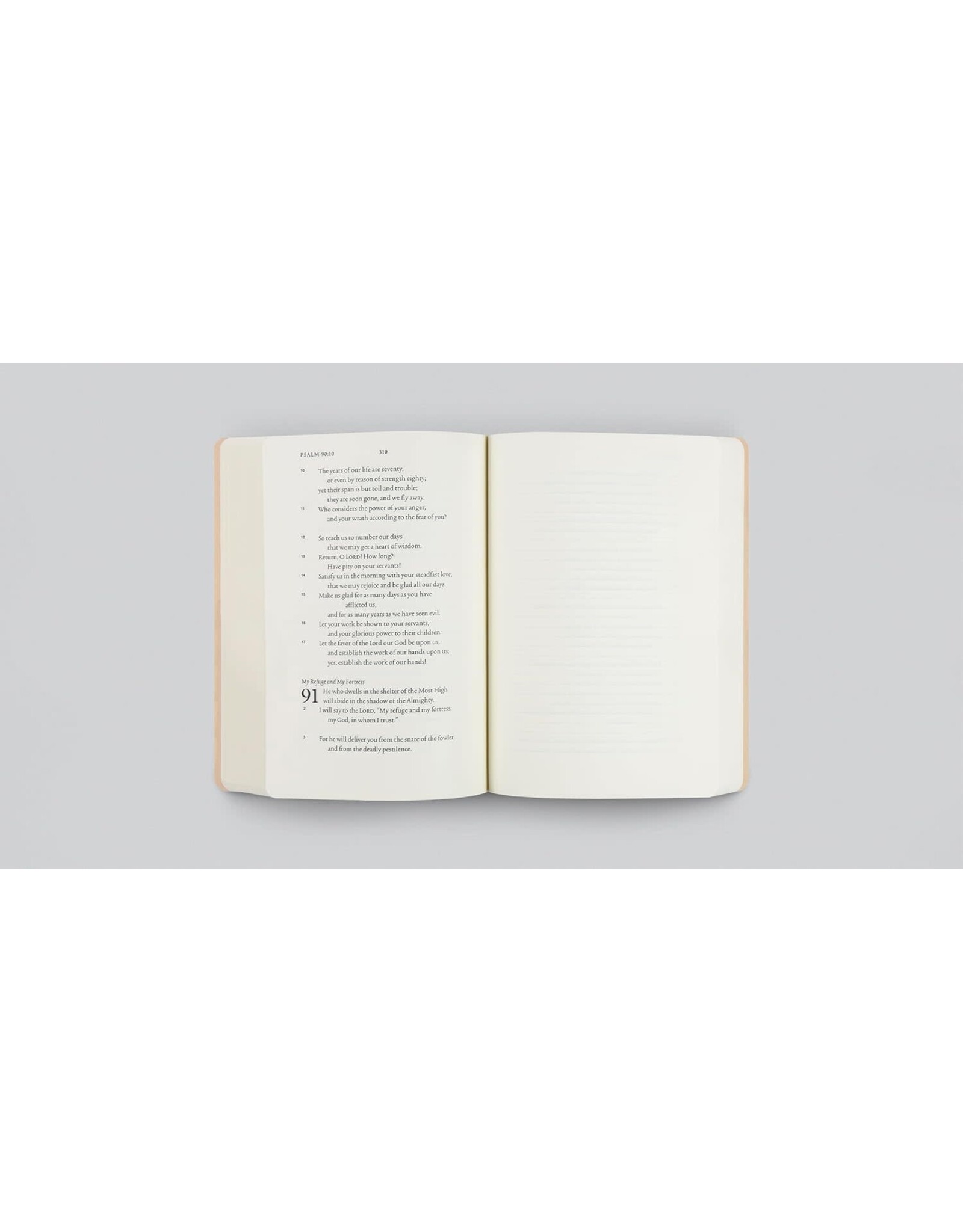 Ruth Chou Simons Ruth Chou Simons Old Testament Scripture Journals