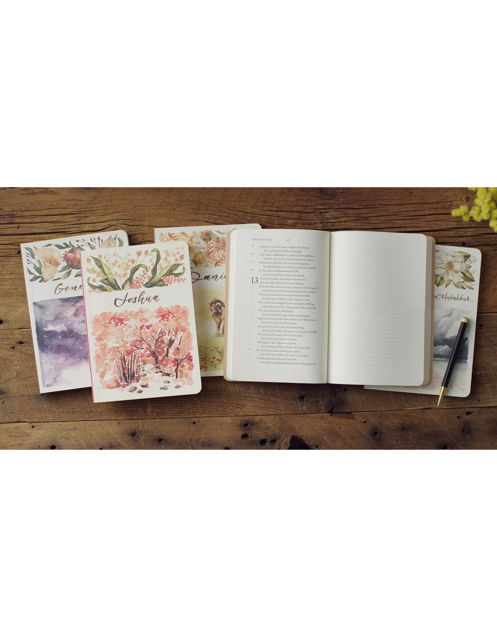 Ruth Chou Simons Ruth Chou Simons Old Testament Scripture Journals