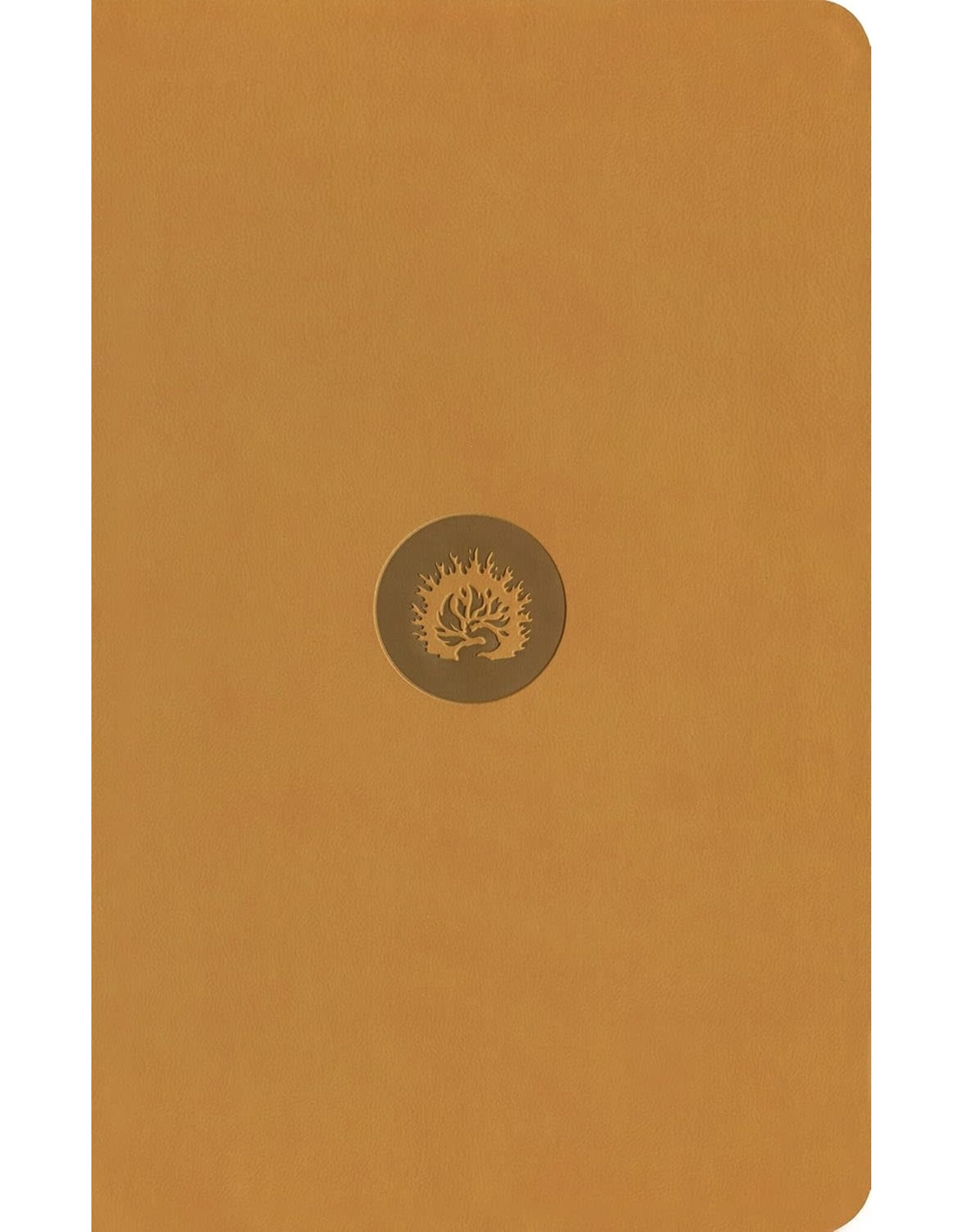 ESV Reformation Study Bible, Student Edition, Marigold