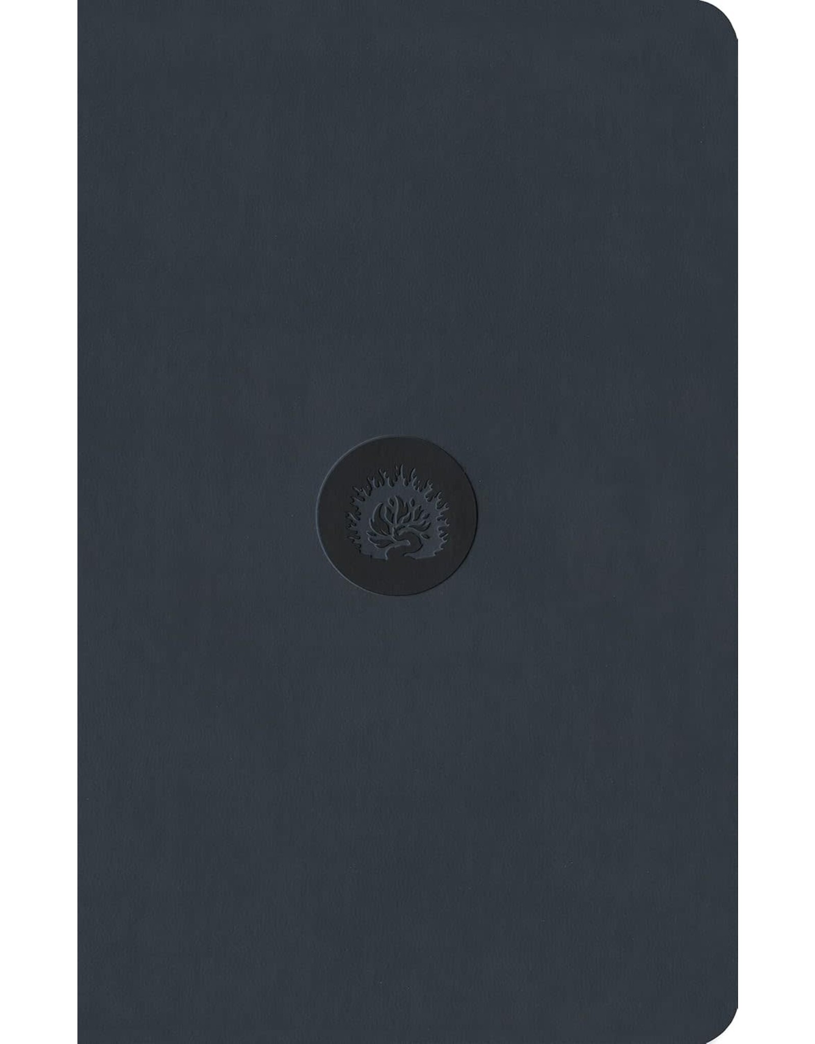 ESV Reformation Study Bible, Student Edition, Navy LL
