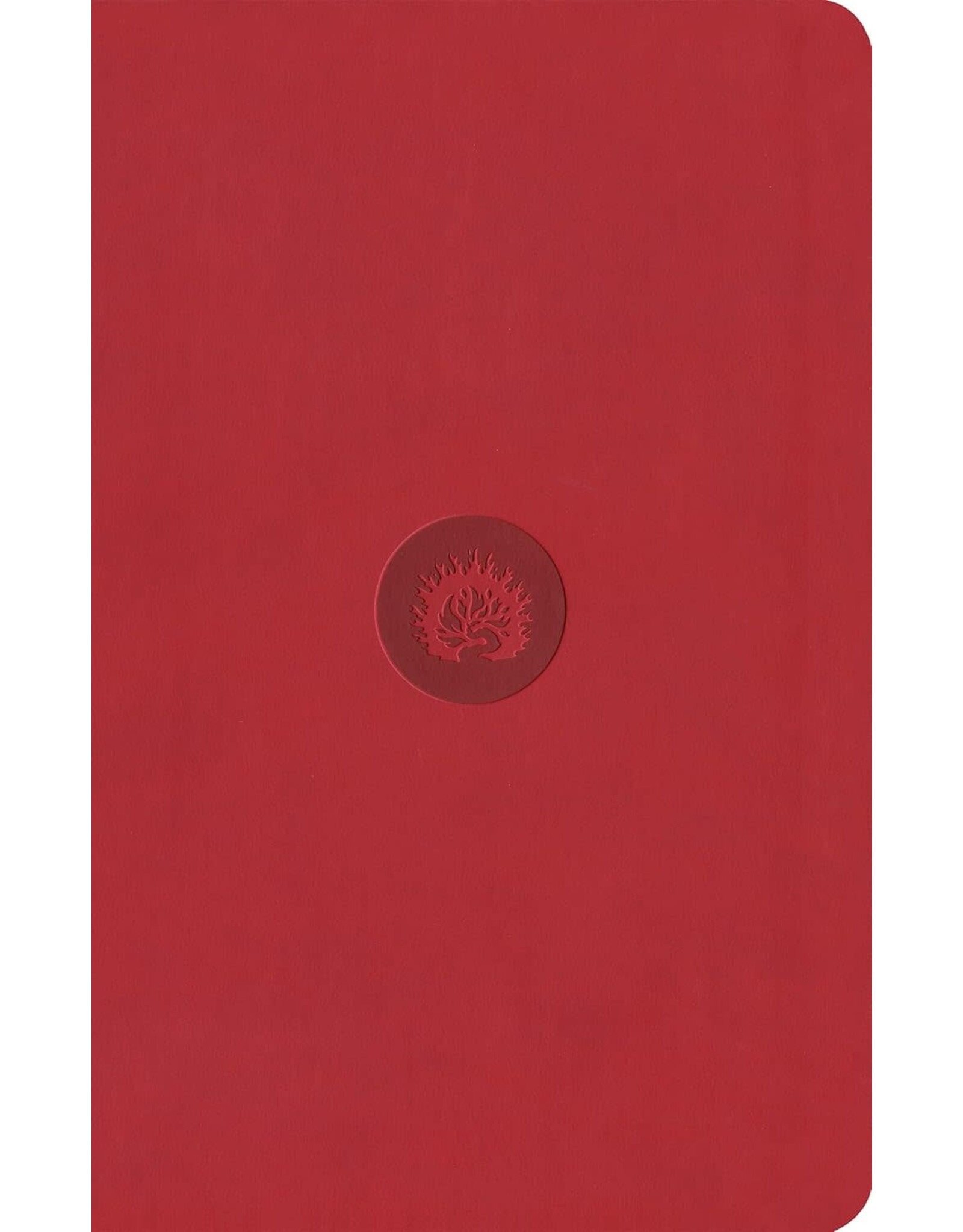 ESV Reformation Study Bible, Student Edition, Red LL