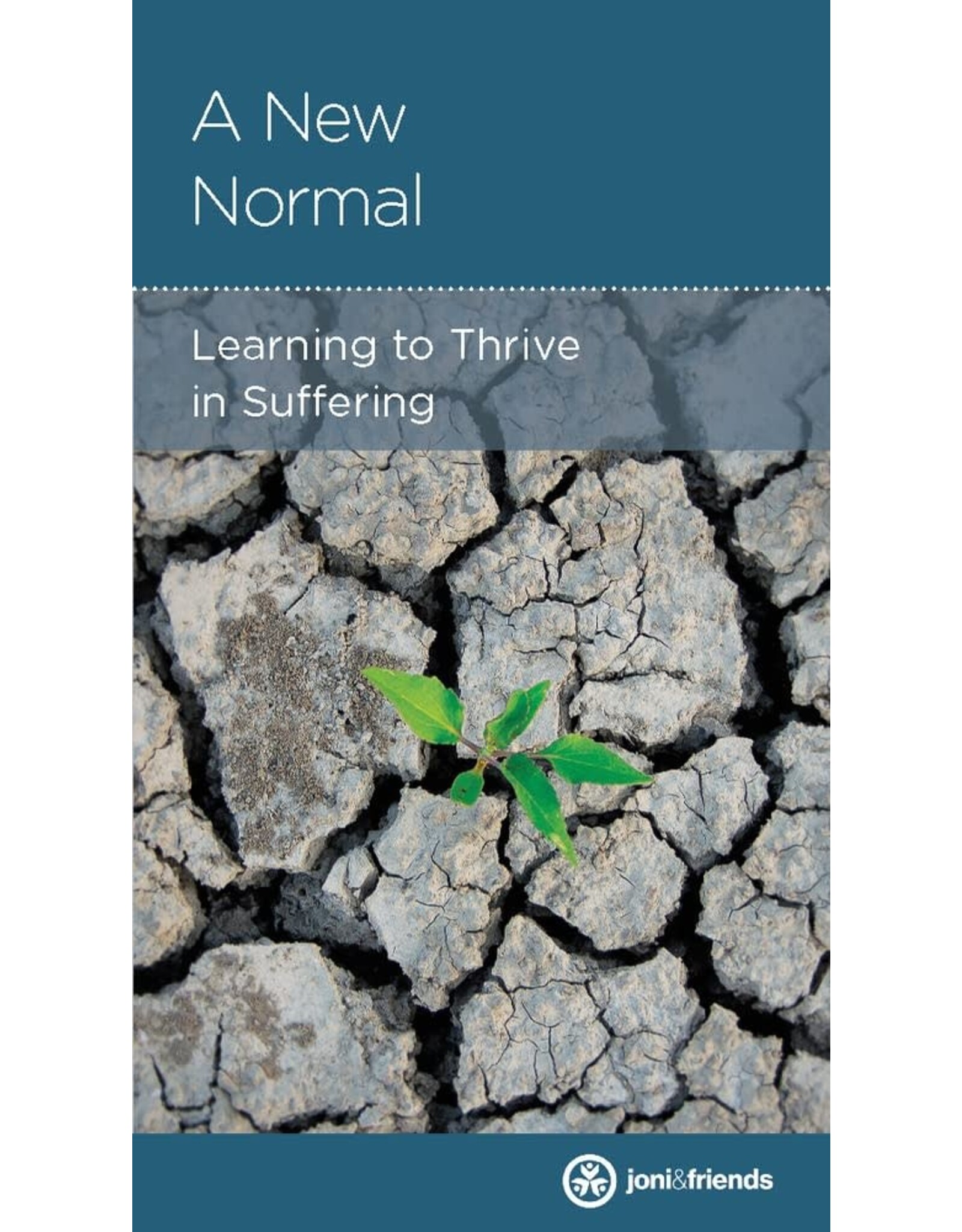 Rebecca Olson A New Normal - Learning to Thrive in Suffering