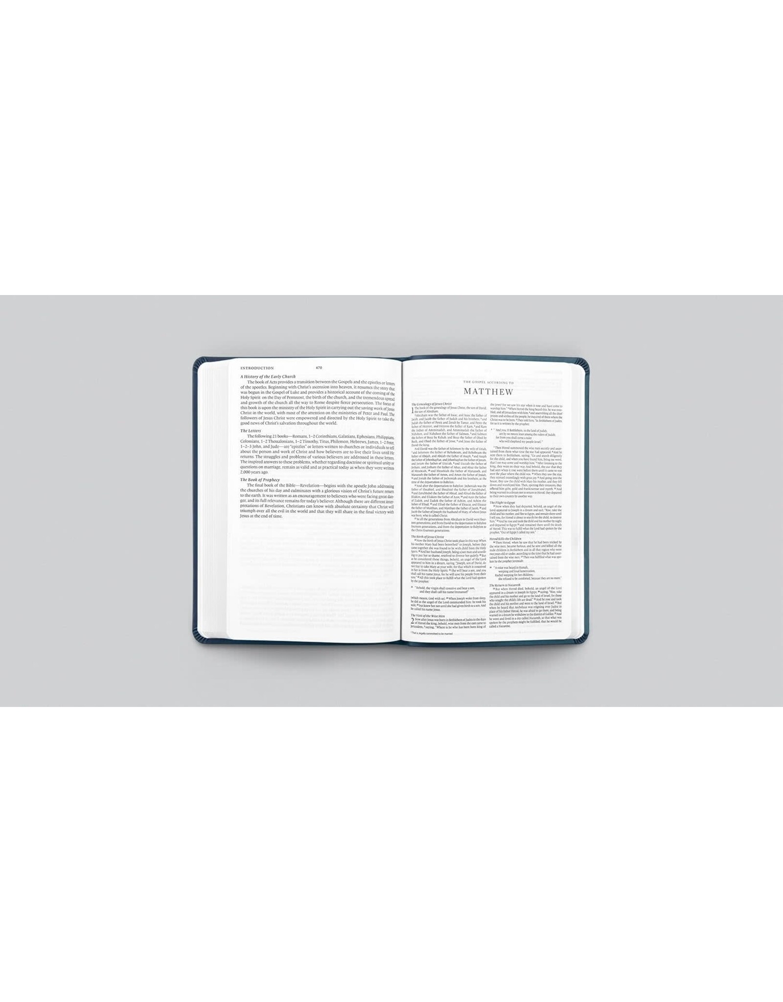 ESV Gift and Award Bible - True Tone Blue