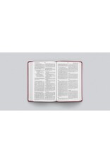 ESV Value Thinline Bible - Raspberry, Floral Design