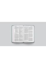 ESV Value Thinline Bible - Paris Sky, Fleur-de-lis