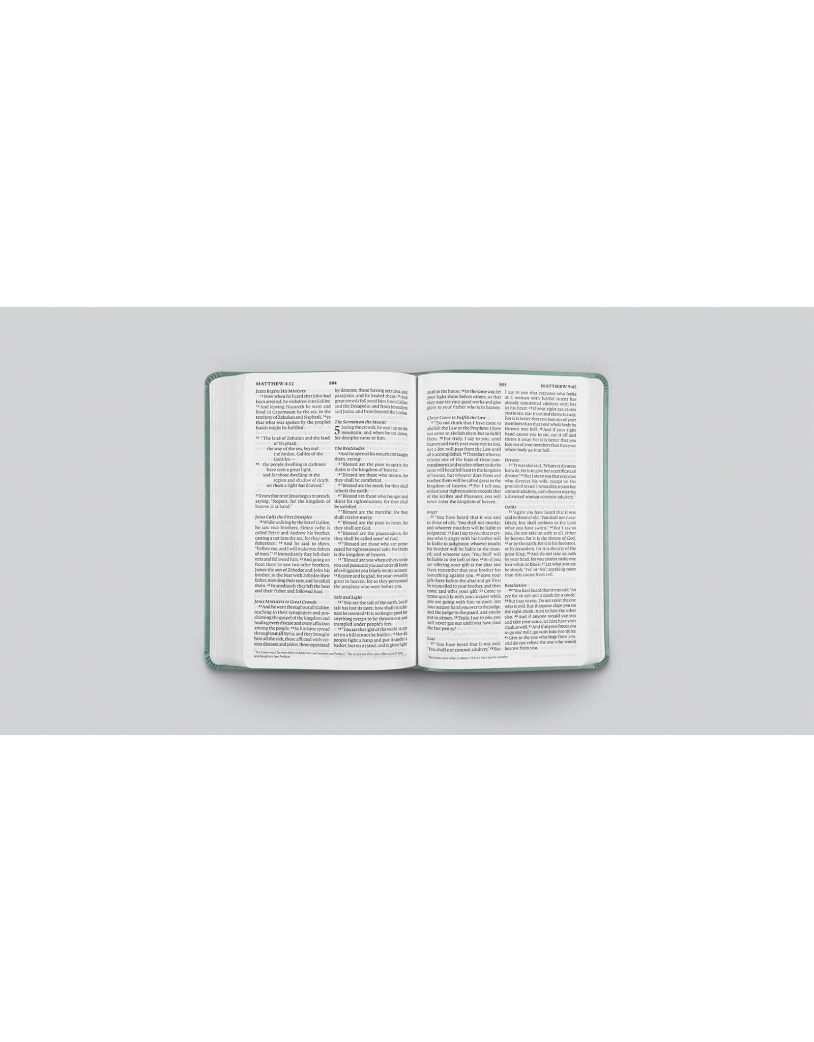 ESV Holy Bible Value Thinline- Paris Sky, Fleur-de-lis