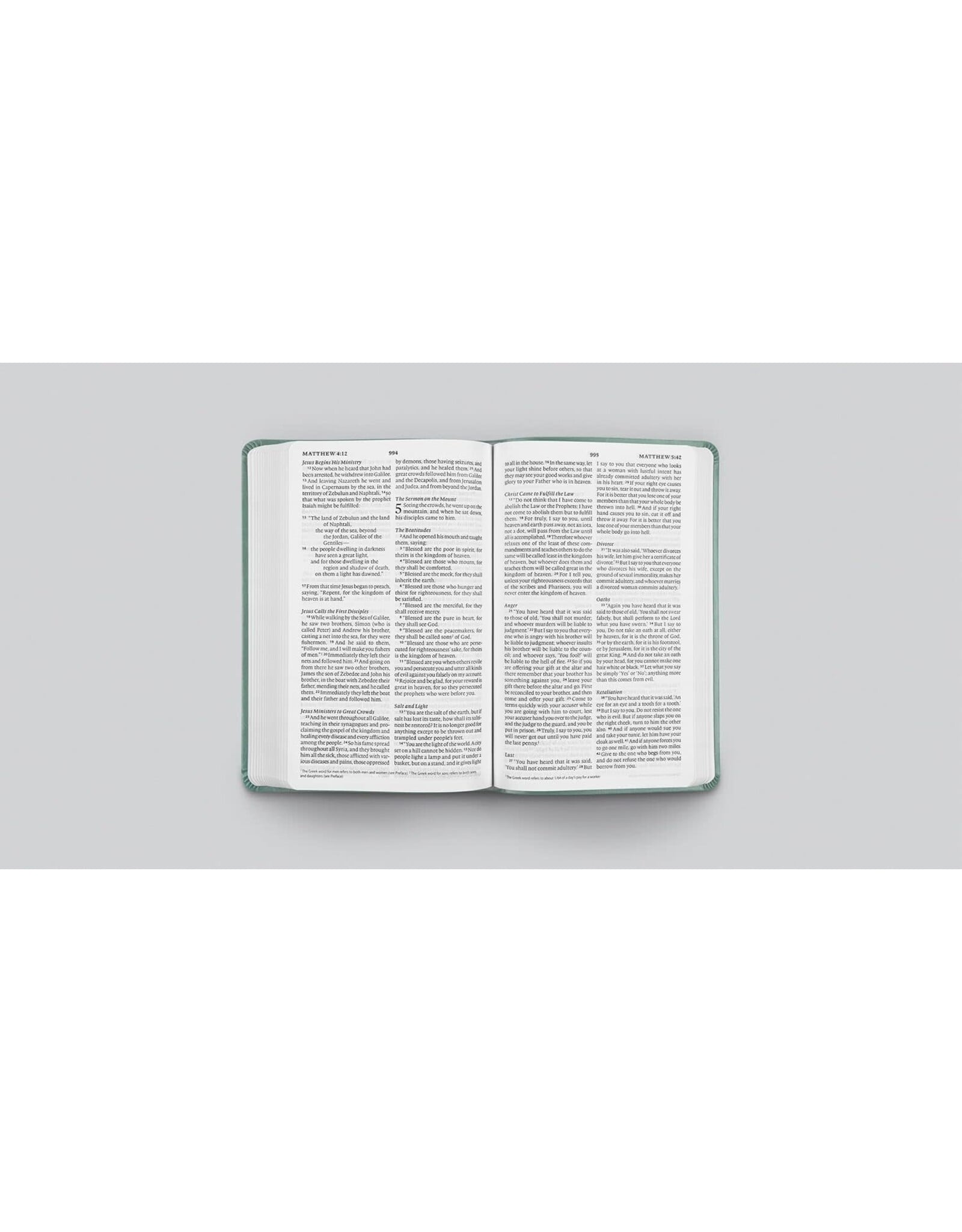 ESV  Value Thinline- Paris Sky, Fleur-de-lis
