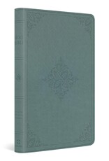ESV Value Thinline Bible - Paris Sky, Fleur-de-lis