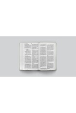 ESV Large Print Value Thinline Bible, TT River Stone ESV Large Print Value Thinline Bible, TT River Stone