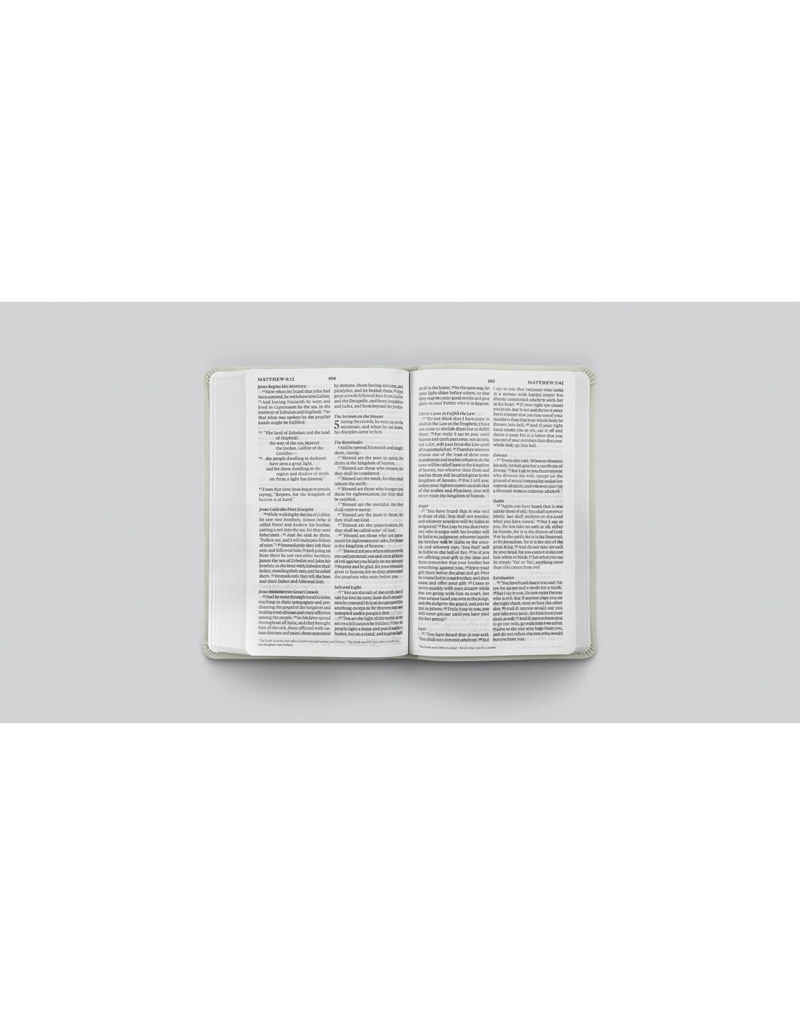 ESV Large Print Value Thinline Bible, TT River Stone