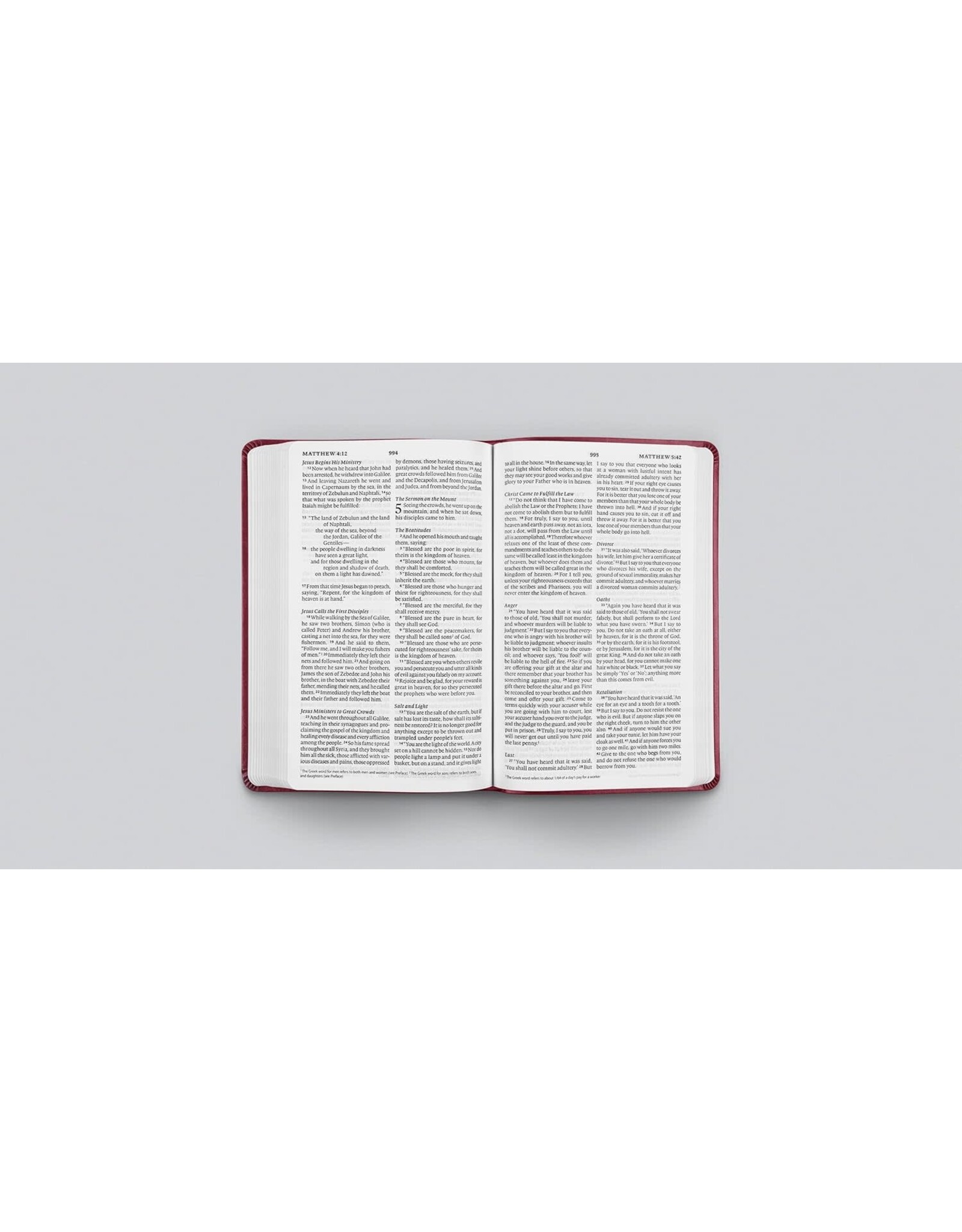 ESV Large Print Value Thinline Bible Raspberry
