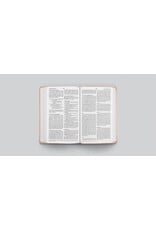 ESV Large Print Value Thinline Bible - TT Blush Rose